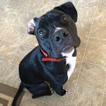 Thumbnail photo of Mac #2