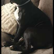 Thumbnail photo of Mac #3