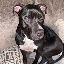 Thumbnail photo of Mac #4