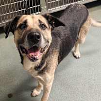 Thumbnail photo of Derwood #3