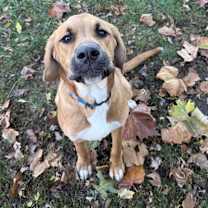 Thumbnail photo of Maverick #1