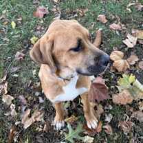 Thumbnail photo of Maverick #2