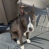 Thumbnail photo of Jeff #1