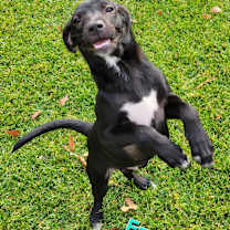 Thumbnail photo of Ezra #2