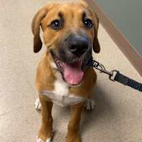 Thumbnail photo of Maverick #4