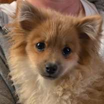 Thumbnail photo of Lia #2