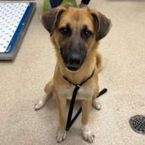 Thumbnail photo of Jane #3