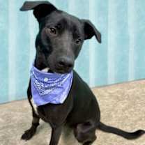 Thumbnail photo of Eve #2