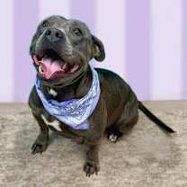 Thumbnail photo of Elise #3