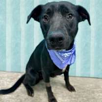 Thumbnail photo of Eve #3