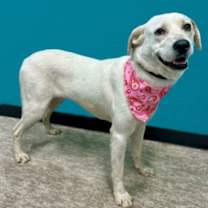 Thumbnail photo of Sunny #3