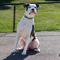 Thumbnail photo of Arlo #2