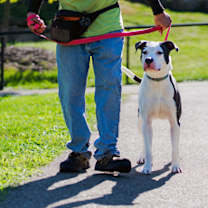 Thumbnail photo of Arlo #3