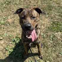 Thumbnail photo of King #2