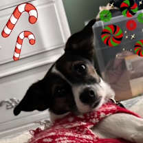 Thumbnail photo of Rita #1