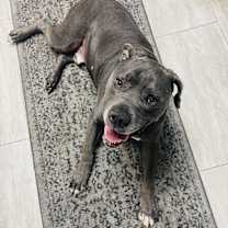 Thumbnail photo of Kodak #1