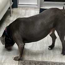 Thumbnail photo of Kodak #3