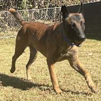 Thumbnail photo of Orbit #4