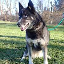 Thumbnail photo of Violet #2