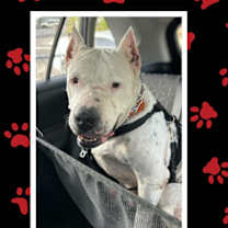 Thumbnail photo of Eloise #1