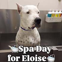 Thumbnail photo of Eloise #3