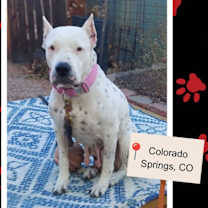 Thumbnail photo of Eloise #4