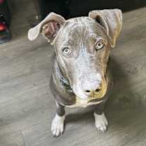 Thumbnail photo of Stoney #1