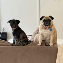 Thumbnail photo of Byrdie #3