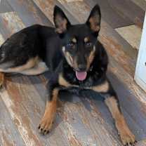 Thumbnail photo of OPAL #2