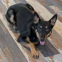 Thumbnail photo of OPAL #4