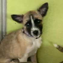 Thumbnail photo of Libby #2