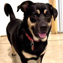 Thumbnail photo of LAYLA #2