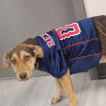 Thumbnail photo of Addie #1