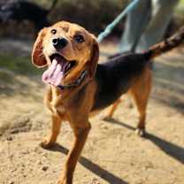 Thumbnail photo of Kayce - Chino Hills Location #4