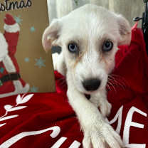 Thumbnail photo of Winona #1