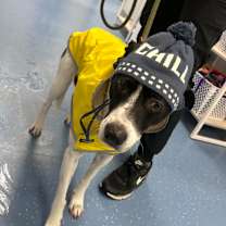 Thumbnail photo of L-57-25 Cranberry #3