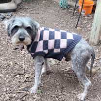 Thumbnail photo of Eagle #4