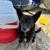 Thumbnail photo of Hercules #2