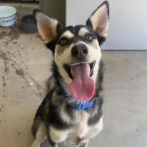 Thumbnail photo of Charlie #1