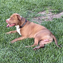 Thumbnail photo of Legend #2