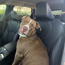 Thumbnail photo of Legend #4