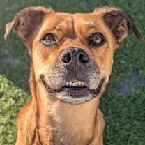 Thumbnail photo of Celeste #1