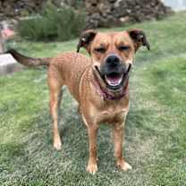 Thumbnail photo of Celeste #3