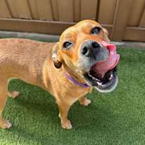 Thumbnail photo of Celeste #4