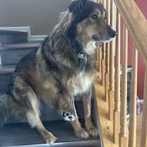 Thumbnail photo of Quinn #1