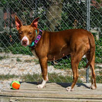 Thumbnail photo of Wendy #4