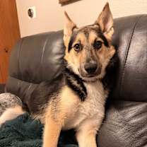 Thumbnail photo of Bento #3