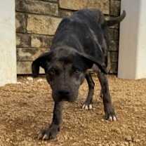 Thumbnail photo of Bert #2