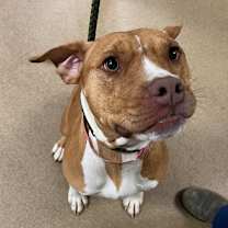 Thumbnail photo of Charity #3