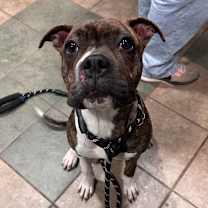 Thumbnail photo of Porsche #2